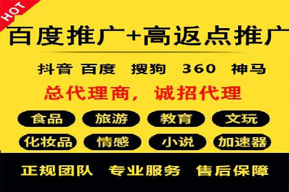 案例研究：SEM代运营服务公司的创新策略